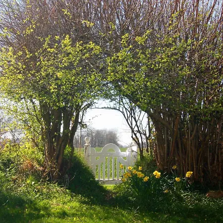 Tatil Evi Knickkieker Nahe Der Ostsee In *