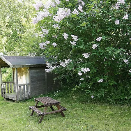 Knickkieker Nahe Der Ostsee In *