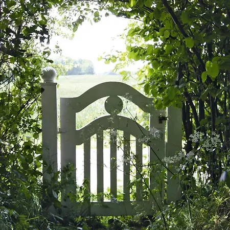 Knickkieker Nahe Der Ostsee In Damp